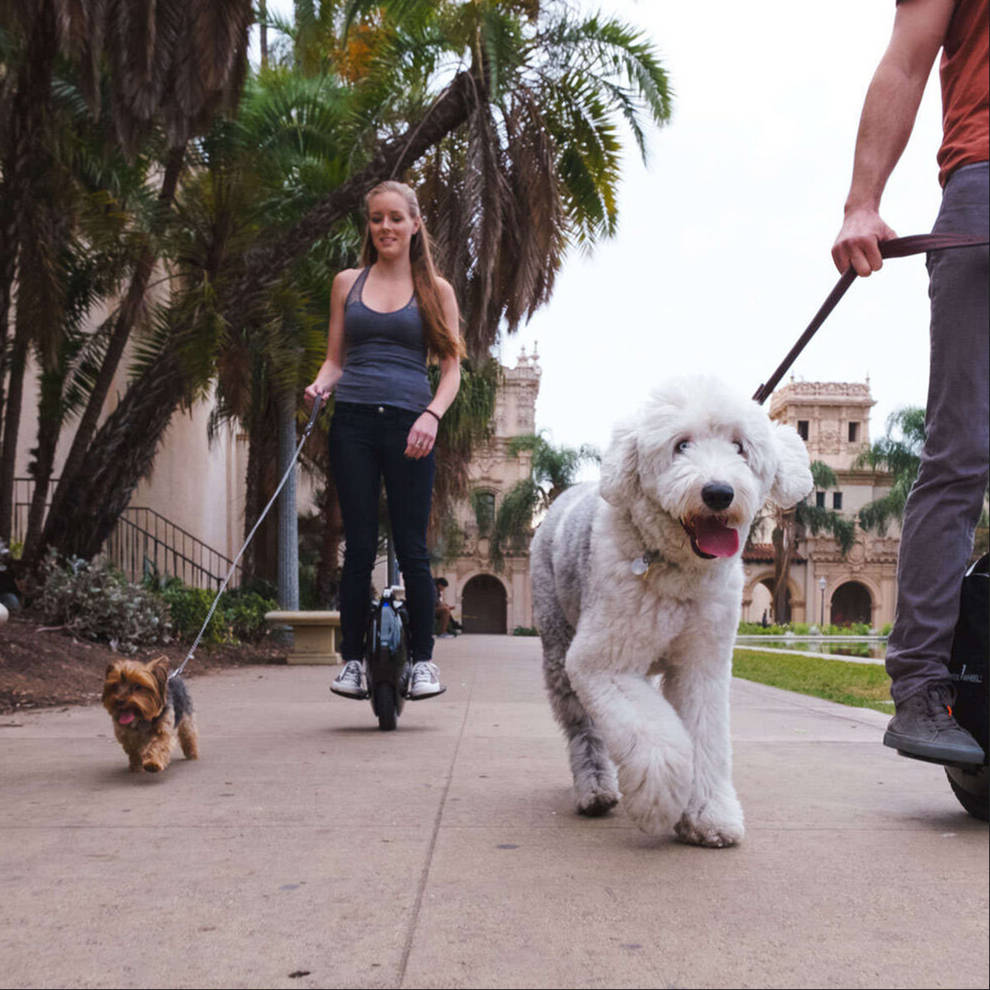 motorized unicycle